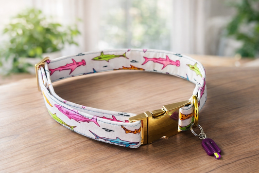 Reef Shark Collar