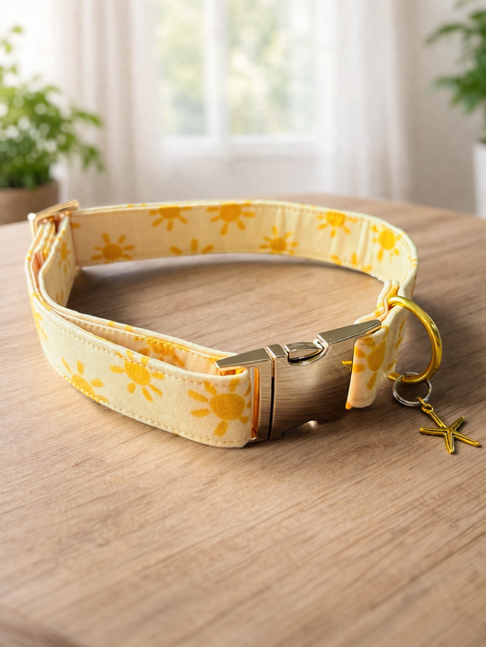 Sunny Skies Collar