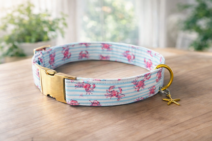 Salty Crab Collar