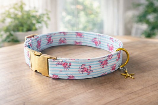 Salty Crab Collar