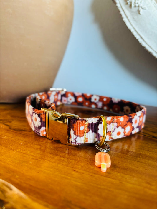 Sunset Blooms Dog Collar