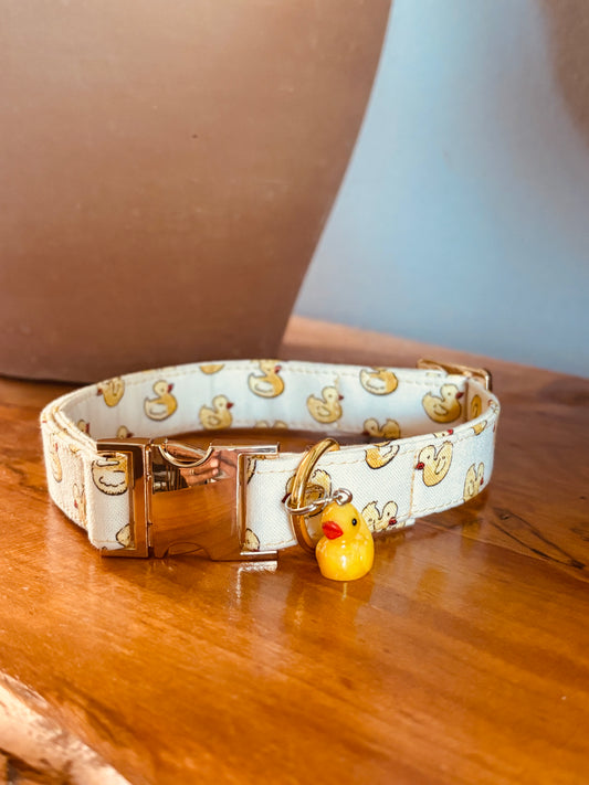 Sunny Duck Dog Collar
