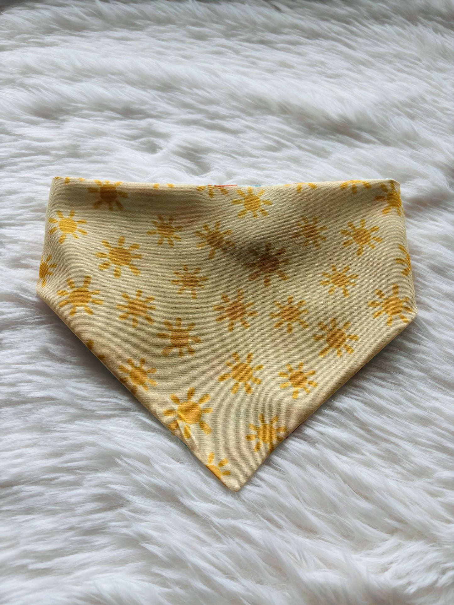 Sunny Skies Bandana