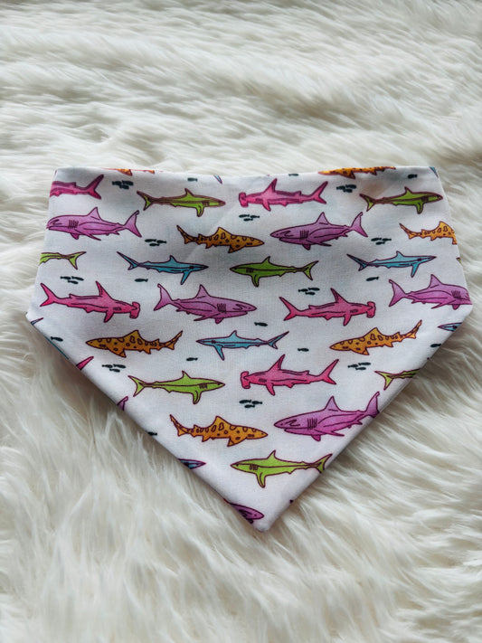 Reef Shark Bandana